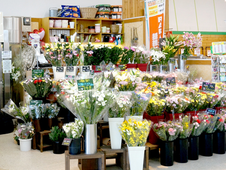 北海道 花屋 フラワーショップ の求人 仕事情報 お祝いdポイントがもらえる Dジョブ